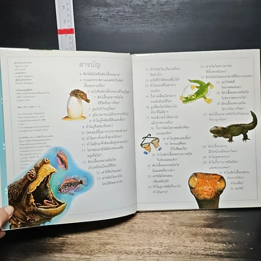 หนังสือ เด็กๆ รู้ไหมทำไม งูลอกคราบ รูปที่ 7