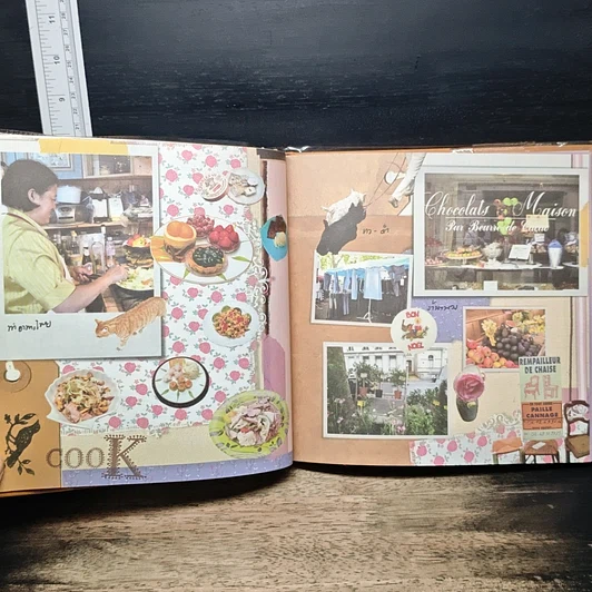 หนังสือ จงจรเที่ยว สมุดบันทึกภาพถ่ายฝีพระหัตถ์ 12 ประเทศ รูปที่ 8