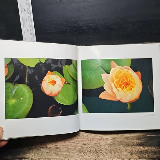 หนังสือ ปุษปสระปทุม รูปที่ 9