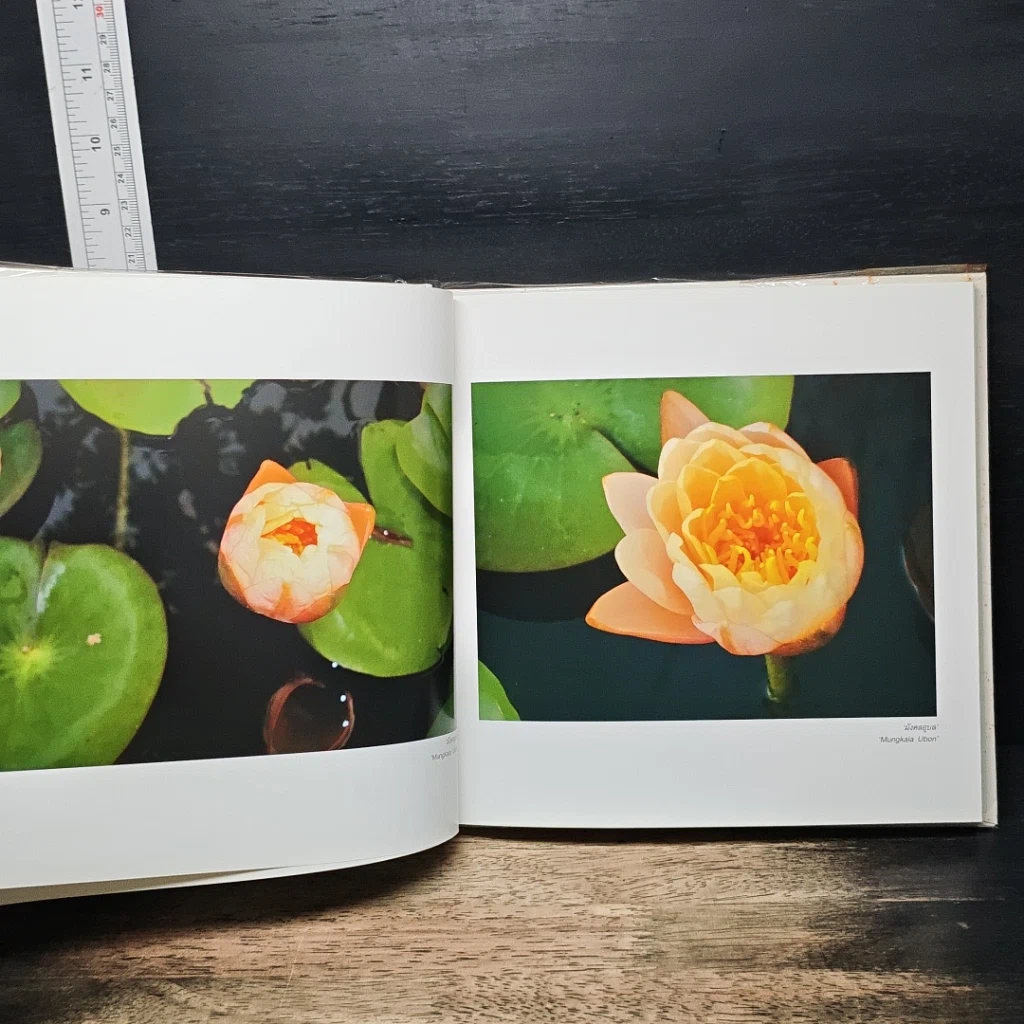 หนังสือ ปุษปสระปทุม รูปที่ 8