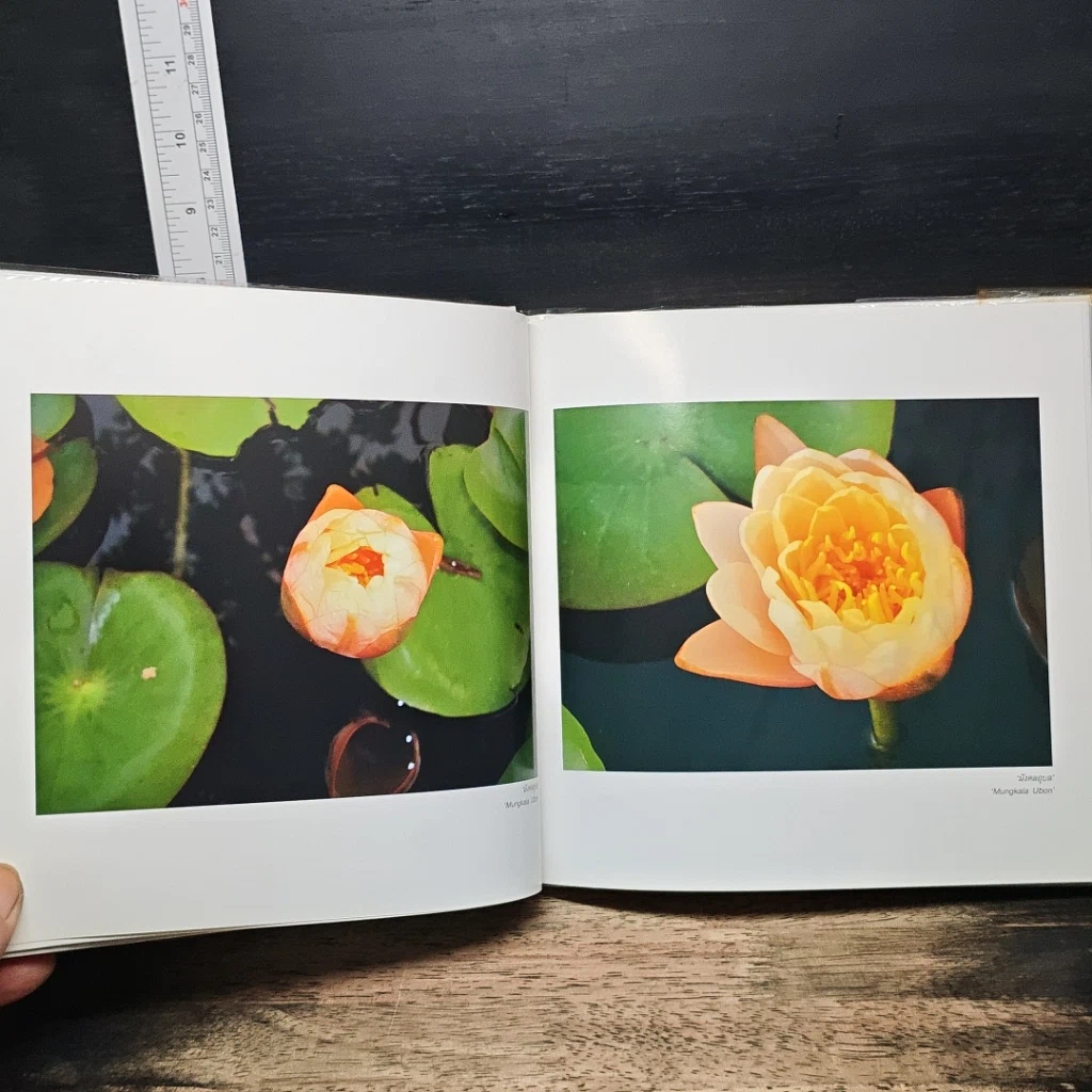หนังสือ ปุษปสระปทุม รูปที่ 9