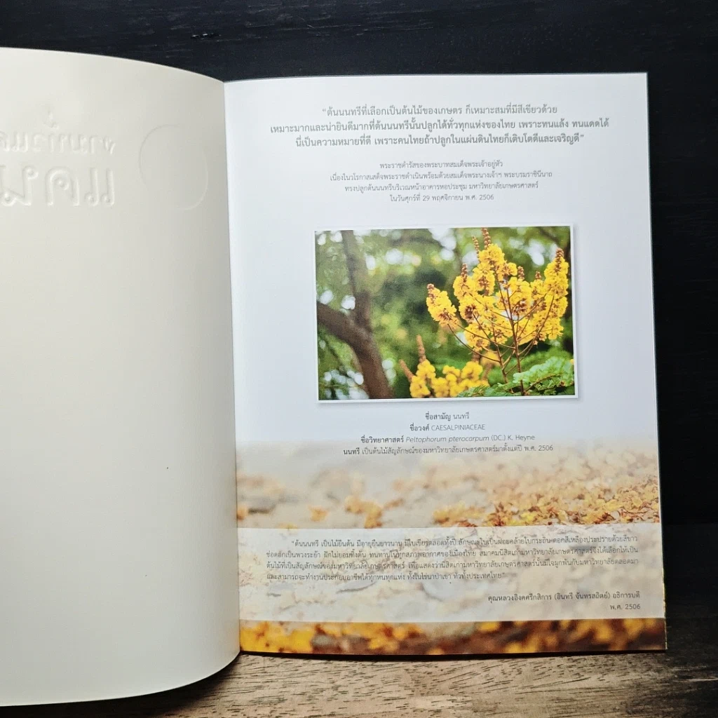 หนังสือ งามทั่วแคว้น แดนนนทรี รูปที่ 6