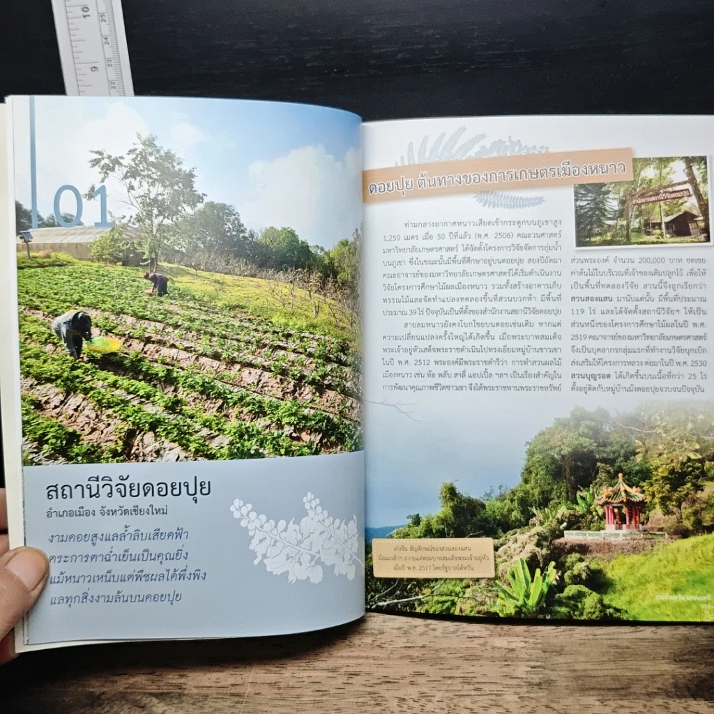 หนังสือ งามทั่วแคว้น แดนนนทรี รูปที่ 8