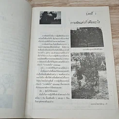 หนังสือ การตัดแต่งกิ่งมะม่วง รูปที่ 7