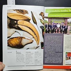หนังสือ National Geographic ฉบับที่ 202 พ.ค.2561 รูปที่ 8