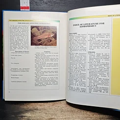 หนังสือ Swordtails and Platies รูปที่ 9