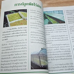 หนังสือ ปลูกพืชไร้ดิน เทคโนโลยีการเกษตรยุคใหม่ สด สะอาด ปราศจากสารพิษ 100% รูปที่ 6