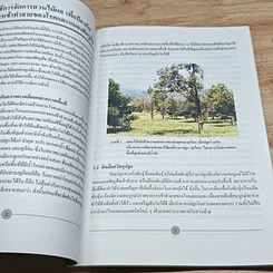 หนังสือ เทคโนโลยี การผลิตไม้พลให้ปลอดภัยจากสารพิษ รูปที่ 8