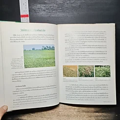 หนังสือ วัชพืชในประเทศไทย รูปที่ 9