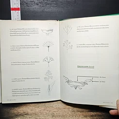 หนังสือ วัชพืชในประเทศไทย รูปที่ 10