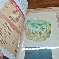 หนังสือ Human Anatomy & Physiology รูปที่ 7