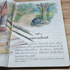 หนังสือ หนังสือเรียนวิชาภาษาไทย ชุดพื้นฐานภาษา ชั้นประถมศึกษาปีที่ 4 เล่ม 1 รูปที่ 7