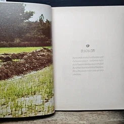 หนังสือ ปฏิปทาธรรมสิริปุญโญ รูปที่ 7