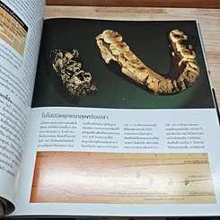 หนังสือ National Geographic ไขปริศนากำเนิดมนุษย์ รูปที่ 7