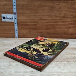 หนังสือ วิทยาศาสตร์มหัศจรรย์ รูปที่ 4