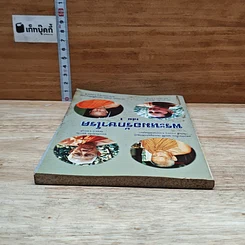 หนังสือ พระหมอรักษาโรค เล่ม 1 รูปที่ 5