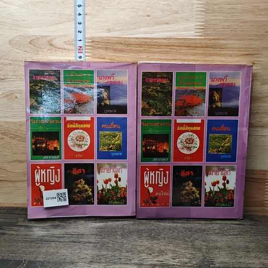 หนังสือ มนต์เรียกรัก 2 เล่มจบ รูปที่ 2