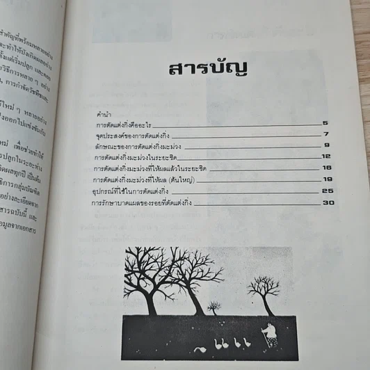หนังสือ การตัดแต่งกิ่งมะม่วง รูปที่ 6
