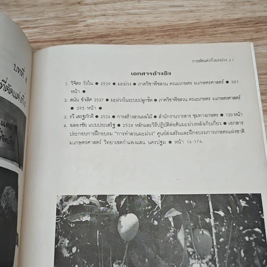 หนังสือ การตัดแต่งกิ่งมะม่วง รูปที่ 8