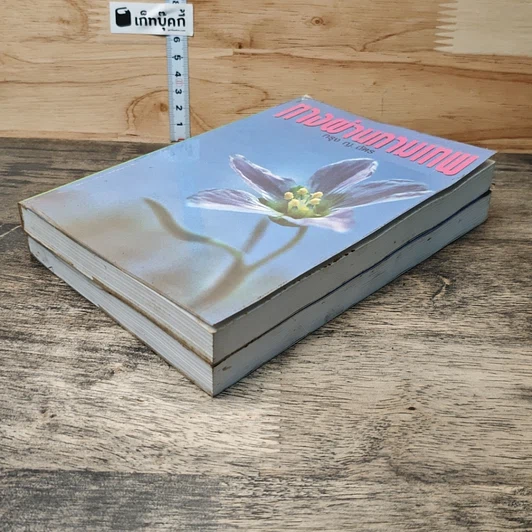 หนังสือ ทางผ่านกามเทพ 2 เล่มจบ รูปที่ 4