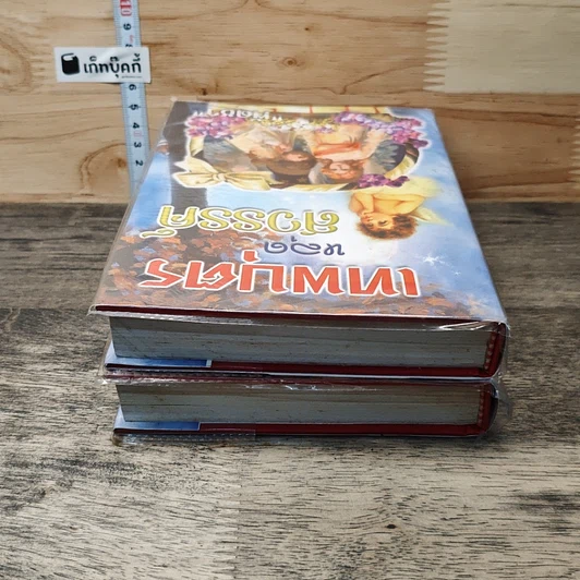 หนังสือ เทพบุตรหลุดสวรรค์ 2 เล่มจบ รูปที่ 5