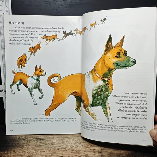 หนังสือ เรื่อง ทองแดง ฉบับการ์ตูน รูปที่ 8
