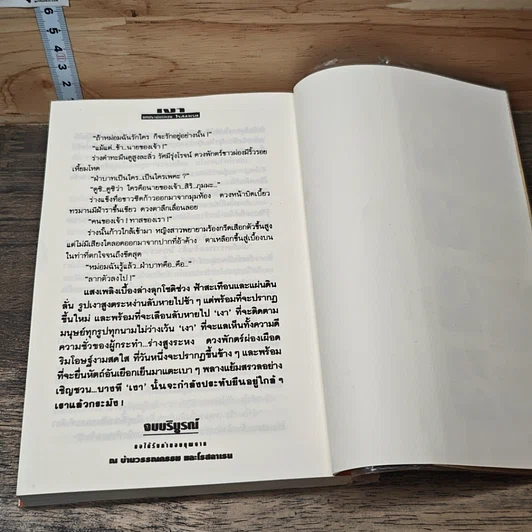 หนังสือ เงา 2 เล่มจบ รูปที่ 8