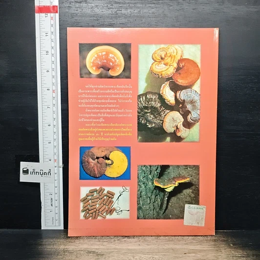 หนังสือ การเพาะเห็ดหลินจือ รูปที่ 2