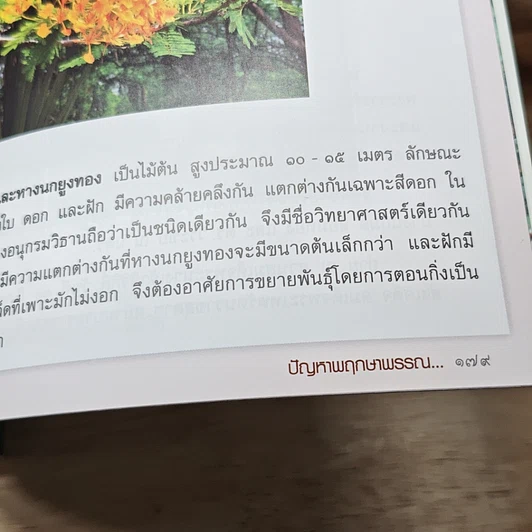 หนังสือ หลักการจัดสวนและการบำรุงรักษาราชอุทยาน กับ ปัญหาพฤกษาพรรณ รูปที่ 8
