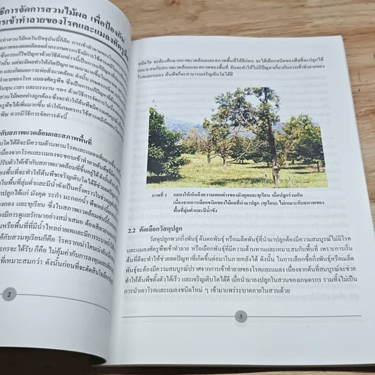 หนังสือ เทคโนโลยี การผลิตไม้พลให้ปลอดภัยจากสารพิษ รูปที่ 8