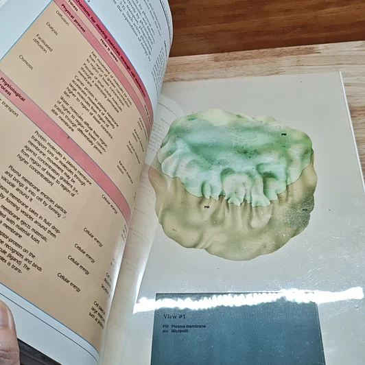 หนังสือ Human Anatomy & Physiology รูปที่ 7