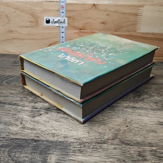 หนังสือ กังหันน้ำค้าง 2 เล่มจบ รูปที่ 4