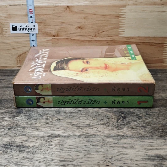 หนังสือ ปฐพีนี้ยังมีรัก 2 เล่มจบ รูปที่ 3