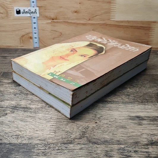 หนังสือ ปฐพีนี้ยังมีรัก 2 เล่มจบ รูปที่ 4