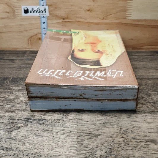 หนังสือ ปฐพีนี้ยังมีรัก 2 เล่มจบ รูปที่ 5