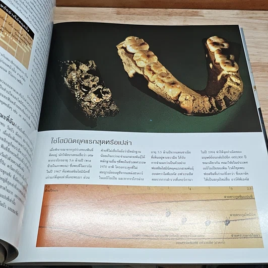 หนังสือ National Geographic ไขปริศนากำเนิดมนุษย์ รูปที่ 7