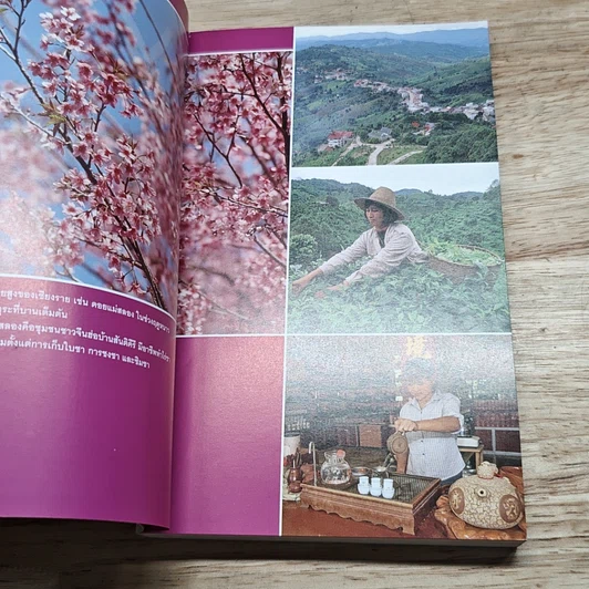 หนังสือ เที่ยวทั่วไทยไปกับนายรอบรู้ เชียงราย รูปที่ 6