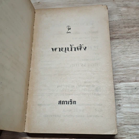 หนังสือ นิยายโรมานซ์ พายุน้ำผึ้ง รูปที่ 6