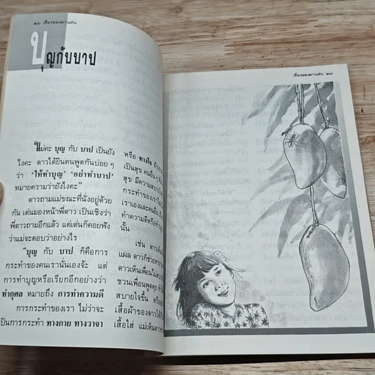 หนังสือ เรื่องของดาวเด่น รูปที่ 7
