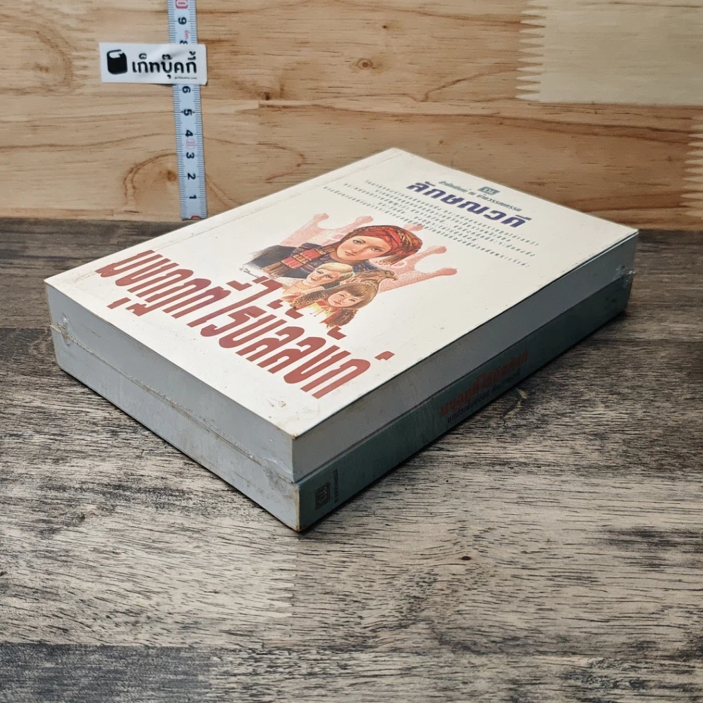หนังสือ มงกุฎที่ไร้บัลลังก์ 2 เล่มจบ รูปที่ 3