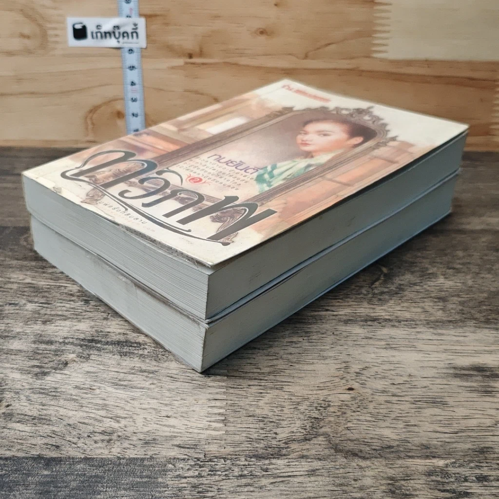หนังสือ ทวิภพ 2 เล่มจบ รูปที่ 4