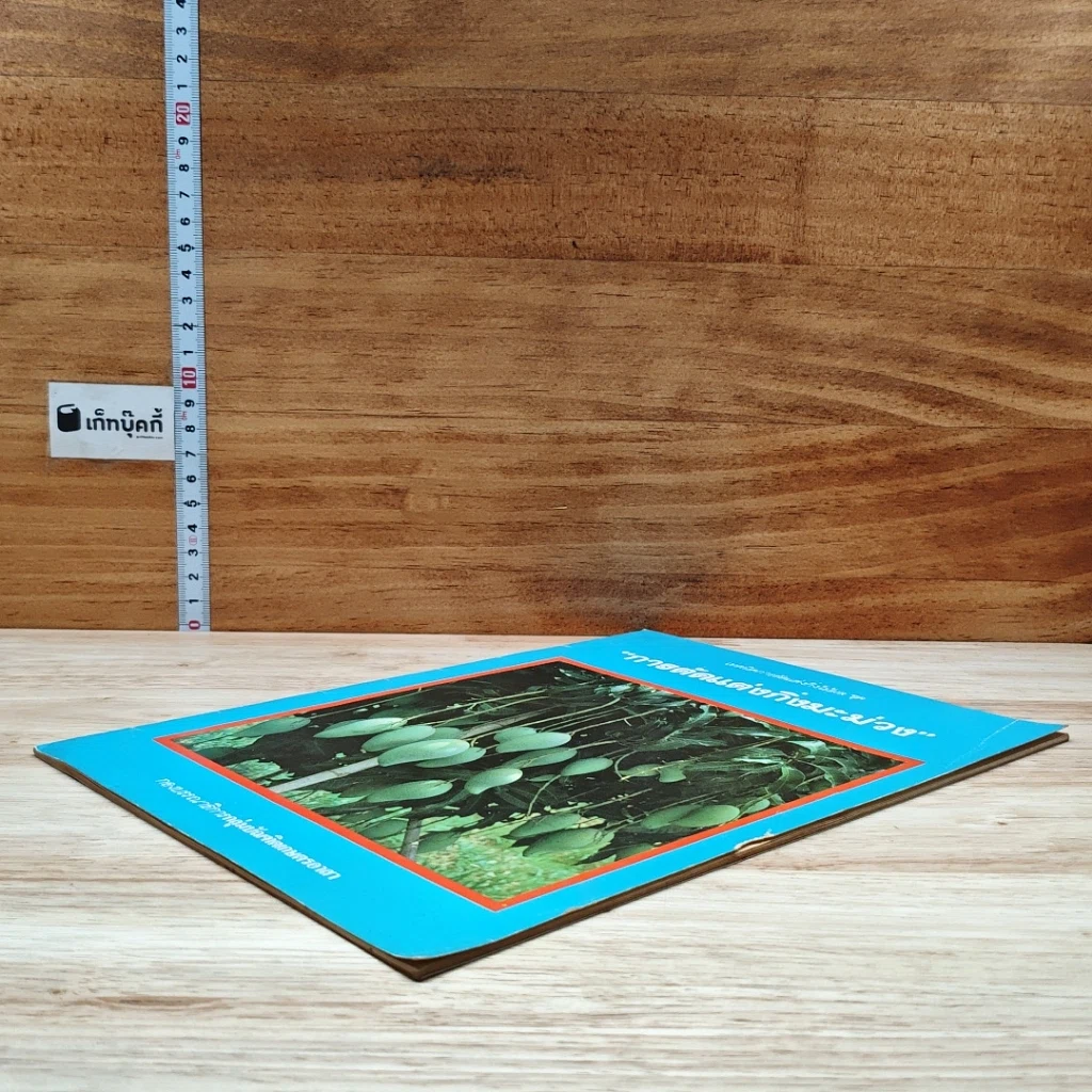 หนังสือ การตัดแต่งกิ่งมะม่วง รูปที่ 4