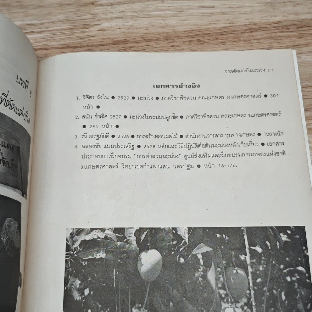 หนังสือ การตัดแต่งกิ่งมะม่วง รูปที่ 8