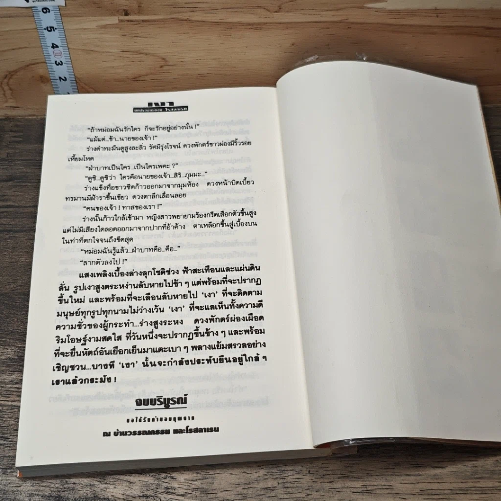 หนังสือ เงา 2 เล่มจบ รูปที่ 8