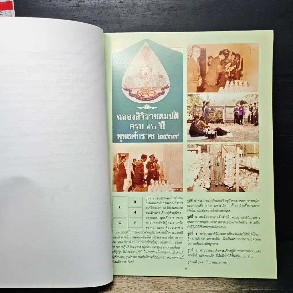 หนังสือ การเพาะเห็ดหลินจือ รูปที่ 8