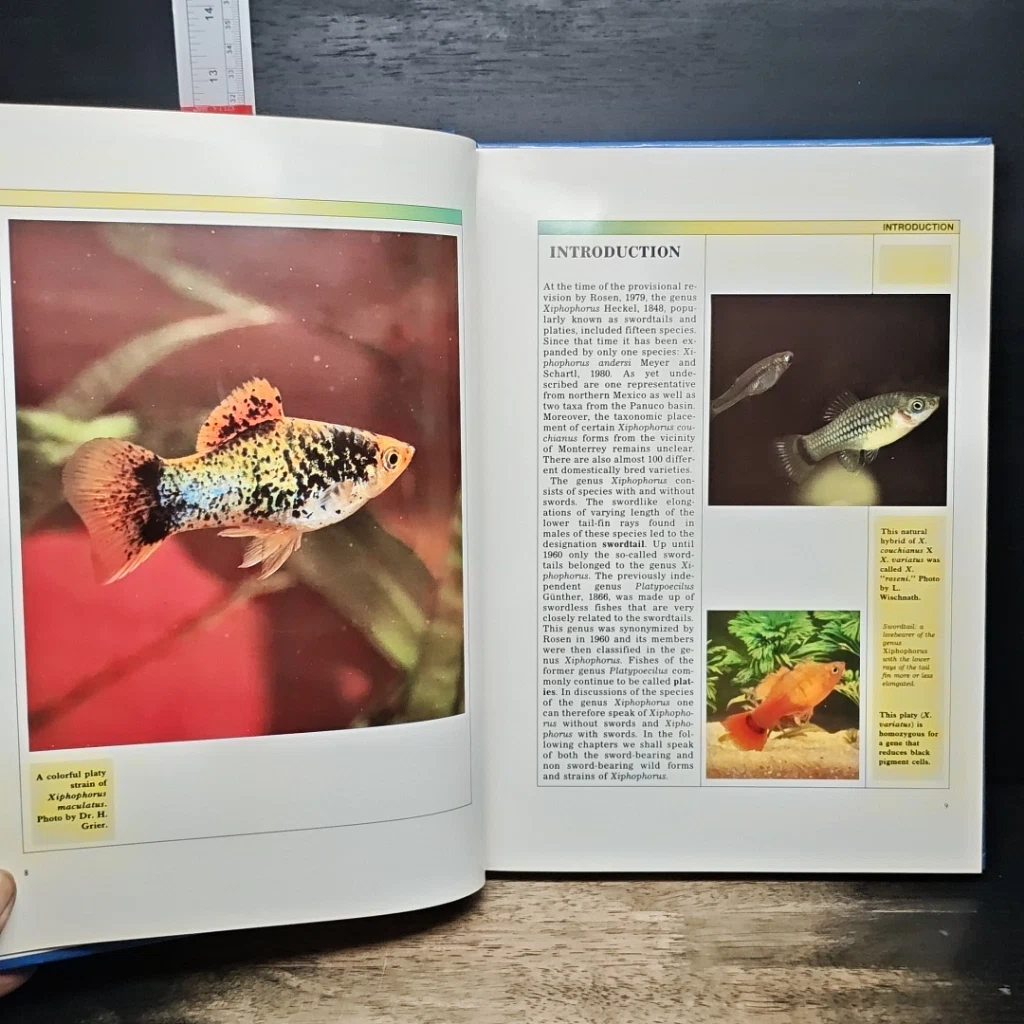 หนังสือ Swordtails and Platies รูปที่ 7