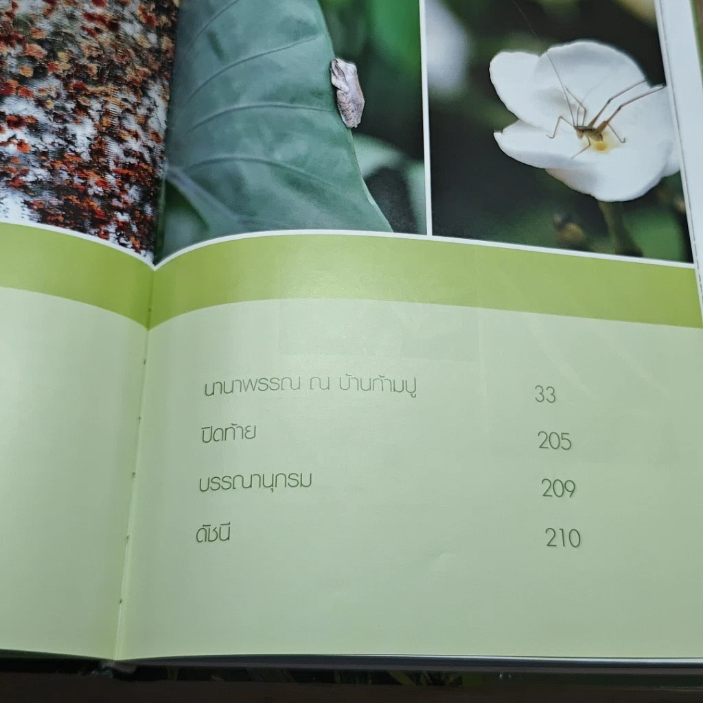 หนังสือ พรรณไม้สะสมของ สุรัตน์ วัณโณ รูปที่ 8
