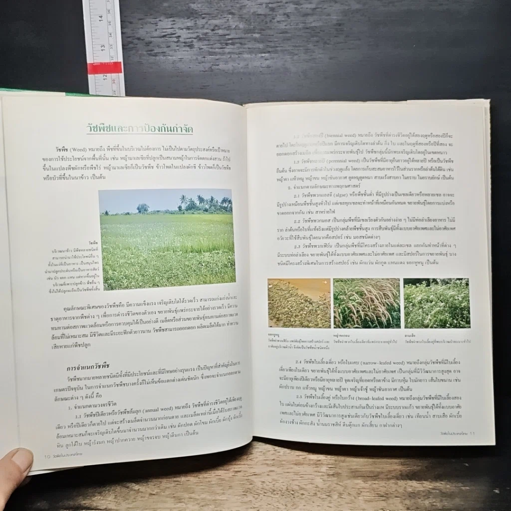 หนังสือ วัชพืชในประเทศไทย รูปที่ 9