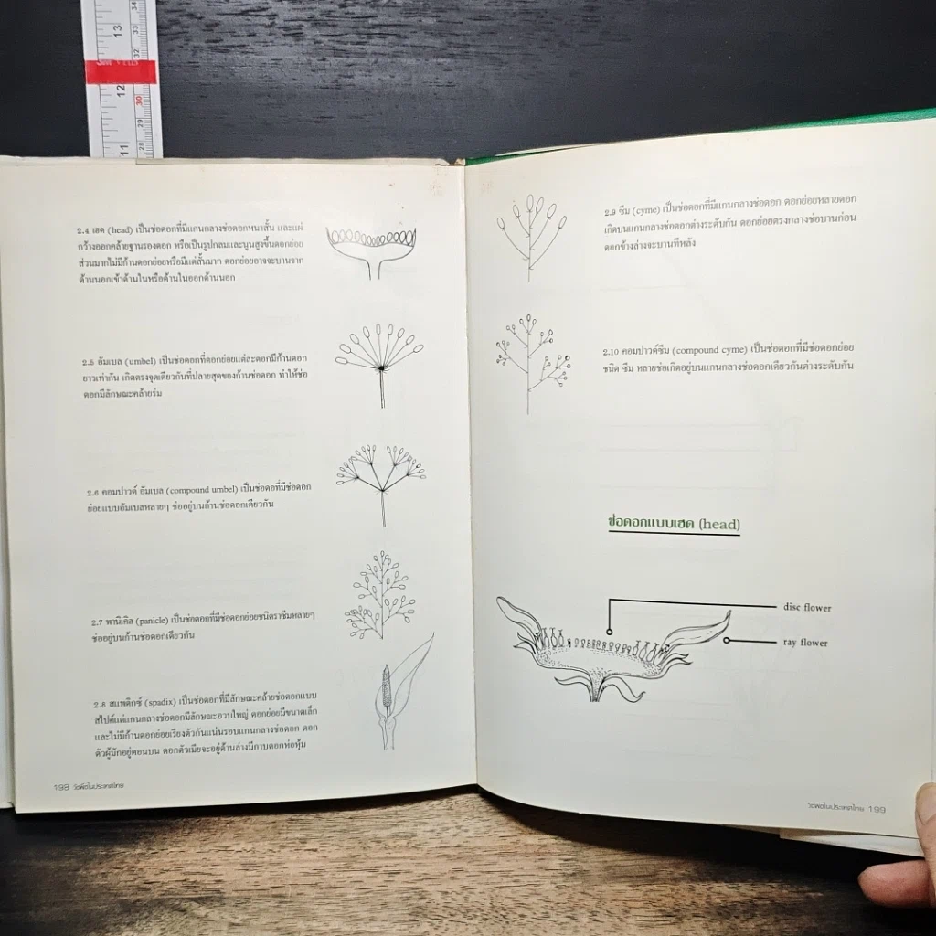 หนังสือ วัชพืชในประเทศไทย รูปที่ 10