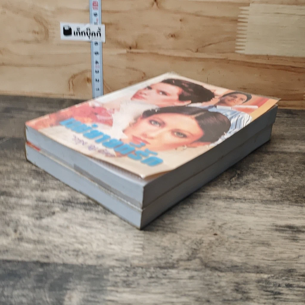 หนังสือ แม่ยายที่รัก 2 เล่มจบ รูปที่ 4